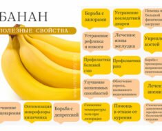 bananas-polza1